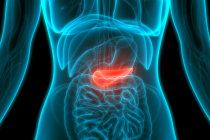 Pesquisadores eliminam completamente tumores pancreáticos em camundongos, sem que se desenvolva resistência Pesquisadores eliminam completamente tumores pancreáticos em camundongos, sem que se desenvolva resistência