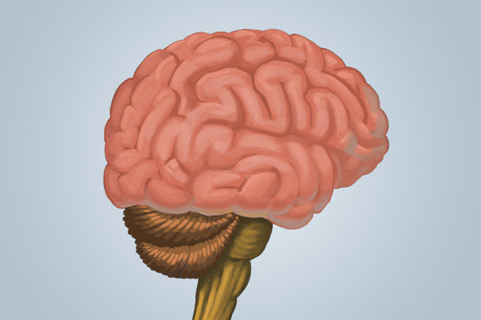 A estimula&ccedil;&atilde;o cerebral profunda pode melhorar a fun&ccedil;&atilde;o anos ap&oacute;s o acidente vascular cerebral