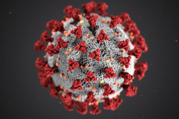 A melatonina pulmonar modula a infec&ccedil;&atilde;o por SARS-CoV-2, atuando como uma barreira contra o coronav&iacute;rus