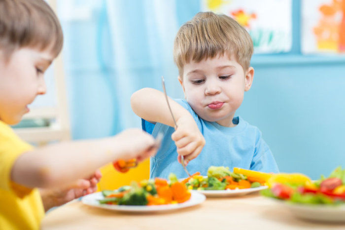 Academia Americana de Pediatria alerta sobre riscos da dieta keto para crian&ccedil;as com diabetes tipo 1