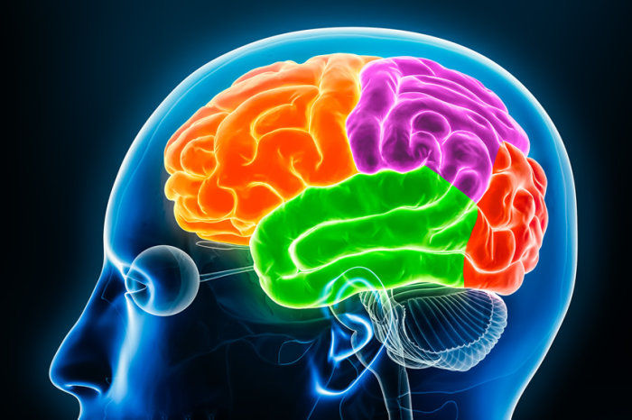 Amplo estudo gen&eacute;tico aponta que transtornos psiqui&aacute;tricos supostamente distintos podem ter as mesmas causas