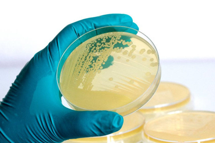 Antibiótico ‘inteligente’ pode matar bactérias mortais enquanto poupa o microbioma
