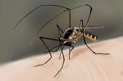 Caracterização da retinopatia em pacientes com febre amarela no sudeste do Brasil