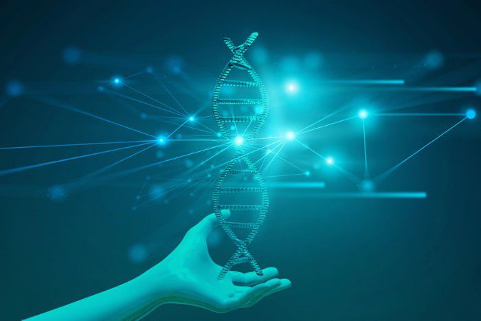 Cientistas descobrem mais de 1.000 variantes gen&eacute;ticas ligadas &agrave; personalidade