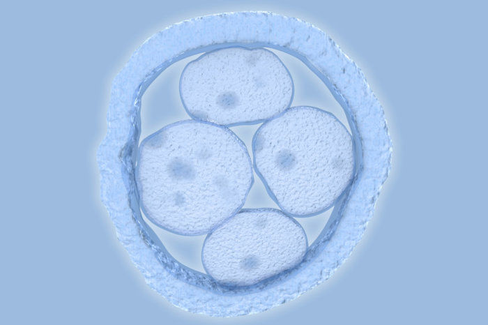 Cientistas editam genes de embri&otilde;es humanos com precis&atilde;o surpreendente