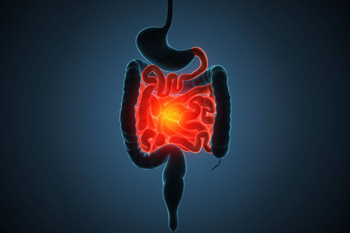 Descoberta uma das principais causas da doença inflamatória intestinal