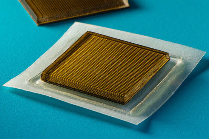 Dispositivo de ultrassom bioadesivo permite imagens contínuas de longo prazo de diversos órgãos