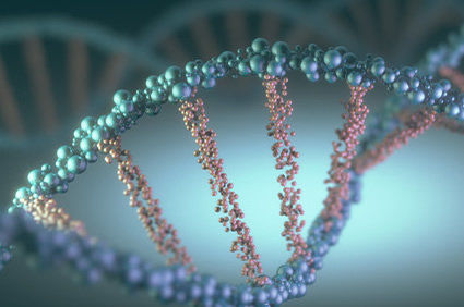 Nova descoberta abre caminho para prolongar a vida humana: cientistas transferem com sucesso gene associado à longevidade