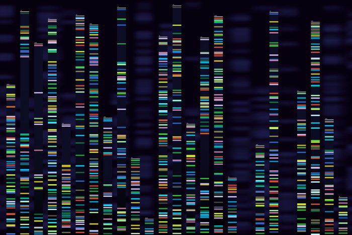 Novo "atlas" do genoma da <i>DeepMind</i> mapeia os efeitos de todas as nove bilh&otilde;es de muta&ccedil;&otilde;es gen&eacute;ticas humanas