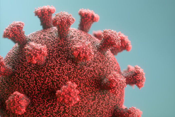 Novo mecanismo de imunidade antiviral &eacute; descoberto
