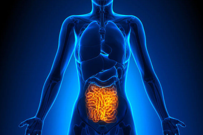 Transplante de microbiota fecal promove resposta em pacientes com melanoma refrat&aacute;rio &agrave; imunoterapia
