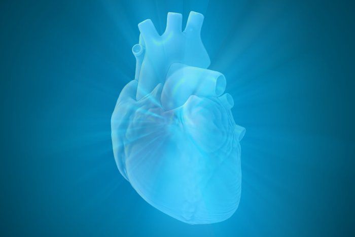 Pesquisadores criam mapa molecular da cardiomiopatia hipertr&oacute;fica