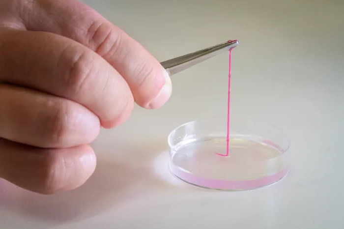 Pesquisadores criam pele artificial impressa em 3D que permite a circulação sanguínea
