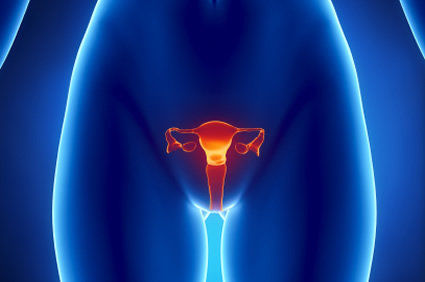 Pesquisadores desenvolvem um implante de hidrogel para tratar endometriose