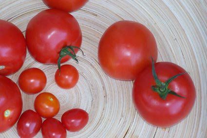 Polpa de tomate concentrada protege a pele contra os raios ultravioletas, prevenindo o câncer de pele e o fotoenvelhecimento