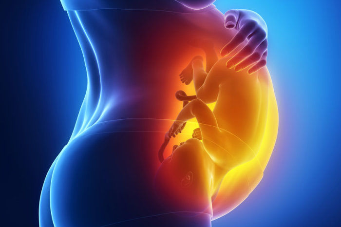 Primeiro tratamento pré-natal para atrofia muscular espinhal mostra-se promissor