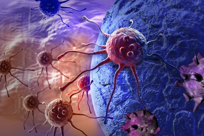 Terapia de RNA mensageiro contra o câncer está em testes em humanos após reduzir tumores em camundongos