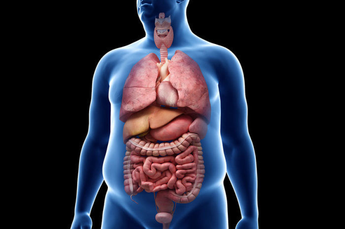 Uma nova definição de obesidade pode ajudar a tratar milhões de pessoas
