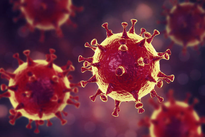 Vírus modificado rouba proteínas do HIV, apontando para uma nova terapia