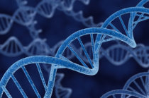 "Edição de base" do DNA de embriões humanos pode ser cura potencial para a beta talassemia