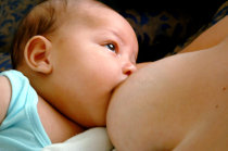 Aleitamento materno em prematuros durante a hospitalização melhora os resultados do neurodesenvolvimento na infância