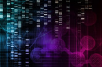 Aprimoramento da técnica CRISPR pode tornar a edição de genoma melhor e mais segura