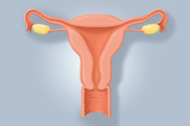 Avaliação de imagens do colo do útero pelo modelo de "aprendizagem profunda" pode permitir triagem cervical efetiva na detecção de lesões pré-cancerosas e cancerosas