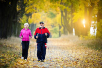 Caminhar tem efeitos sobre a plasticidade da substância branca do cérebro em idosos saudáveis
