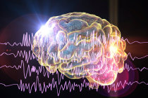 Convulsões precoces após traumatismo cranioencefálico aumentam os riscos de epilepsia e morte