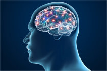 Estimulação cerebral profunda revive a função cognitiva após lesão cerebral traumática