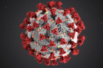 Estudo avalia hipótese de supressão imune inata causada por vacinas de mRNA contra o SARS-CoV-2