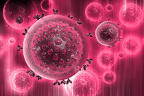 Homem foi curado inesperadamente do HIV após transplante de células-tronco Homem foi curado inesperadamente do HIV após transplante de células-tronco