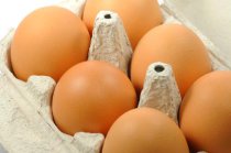 Ingestão precoce e regular de ovo evita mesmo a alergia ao ovo em crianças?
