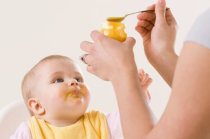 Intervenção alimentar precoce pode prevenir a alergia alimentar em crianças pequenas