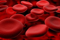 Maior nível de folato de glóbulos vermelhos pré-concepção reduz o risco de cardiopatia congênita na prole
