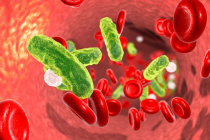 Medicamentos para HIV se mostram promissores na prevenção de complicações de infecções bacterianas