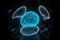 Nova ferramenta de IA encontra les&otilde;es cerebrais ocultas que os m&eacute;dicos n&atilde;o percebem em crian&ccedil;as com epilepsia