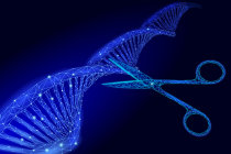 Nova técnica CRISPR destrói seletivamente células cancerígenas, incluindo cânceres considerados "intratáveis" Nova técnica CRISPR destrói seletivamente células cancerígenas, incluindo cânceres considerados "intratáveis"