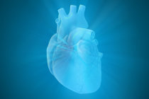 O que há de novo em cardiologia: confira os principais avanços divulgados nos últimos meses O que há de novo em cardiologia: confira os principais avanços divulgados nos últimos meses