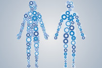 O que h&aacute; de novo em endocrinologia e metabologia: confira os principais avan&ccedil;os divulgados nos &uacute;ltimos meses