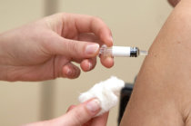 OMS publica o processo de produção da nova vacina contra a gripe suína. A previsão é que ela esteja disponível para uso em setembro de 2009