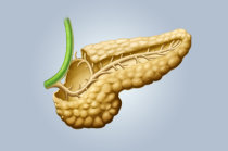 Pesquisadores eliminam completamente tumores pancre&aacute;ticos em camundongos, sem que se desenvolva resist&ecirc;ncia