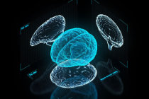 Pesquisadores imprimem tecido cerebral humano funcional em 3D
