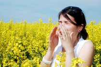 Pessoas com rinite alérgica têm uma proporção maior de certa espécie bacteriana em seus narizes