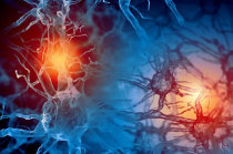 Proteínas inflamatórias no sistema imunológico inato podem danificar os neurônios e levar à esclerose lateral amiotrófica