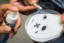 Spray magnético transforma objetos em mini robôs que podem entregar medicamentos