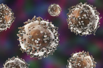 Subconjunto de células T do sistema imunológico impulsiona o diabetes tipo 1