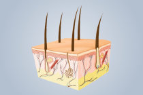 Ultrassom de alta frequ&ecirc;ncia na dermatologia permite enxergar al&eacute;m da superf&iacute;cie da pele