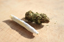 Uso de cannabis durante a adolescência pode estar associado ao neurodesenvolvimento alterado