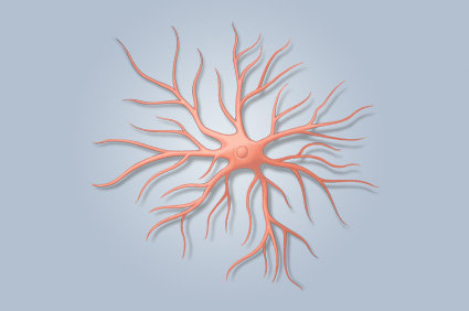 A proteína interleucina-3 astrocítica programa a micróglia, um tipo de célula imunológica do cérebro, e limita a doença de Alzheimer